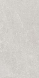 Madison Gris Sugar Carving 60x120