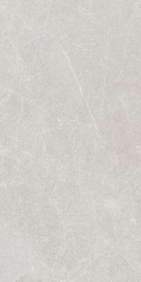 Madison Gris Sugar Carving 60x120