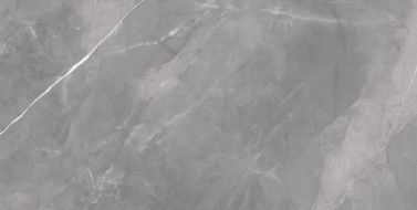 Magda Gris Polished 60x120