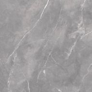 Magda Gris Polished 60x60
