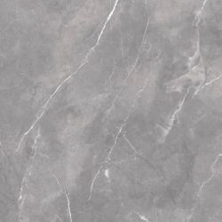 Magda Gris Polished 60x60