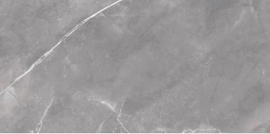 Magda Gris Polished 90x180