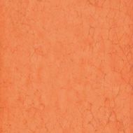 Maiolica Arancio 20x20