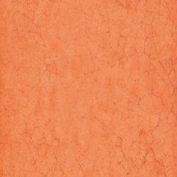Maiolica Arancio 20x20
