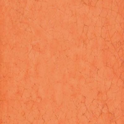 Maiolica Arancio 20x20