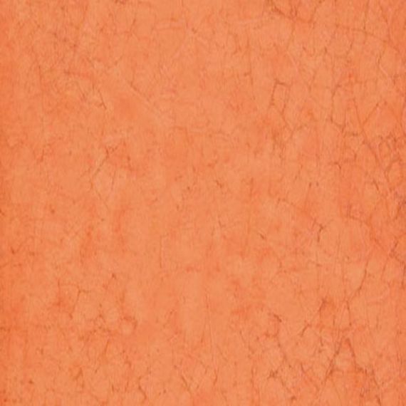 Maiolica Arancio 20x20