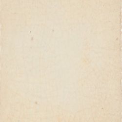 Maiolica Crema 20x20