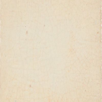 Maiolica Crema 20x20