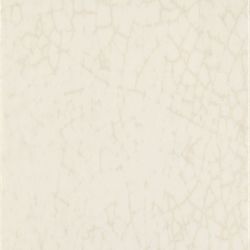 Maiolica Latte 20x20