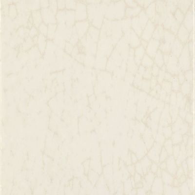 Maiolica Latte 20x20