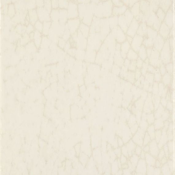 Maiolica Latte 20x20