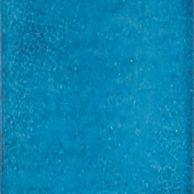 Maiolica Mare 20x20