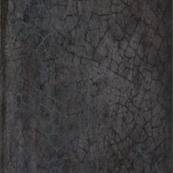 Maiolica Nero 20x20