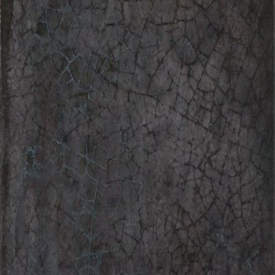 Maiolica Nero 20x20