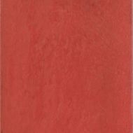 Maiolica Rosso 20x20