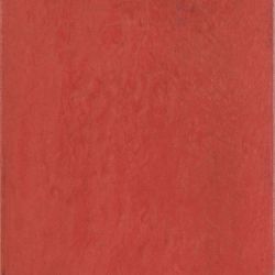 Maiolica Rosso 20x20