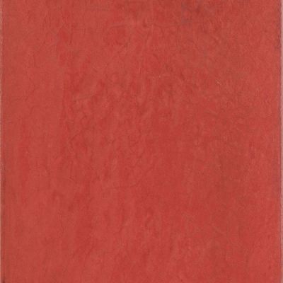 Maiolica Rosso 20x20