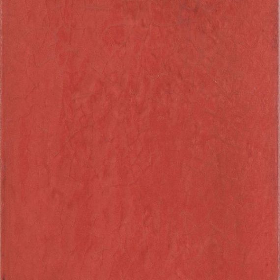 Maiolica Rosso 20x20