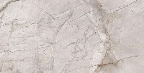 Marble Dragon Grey Silk 60x120