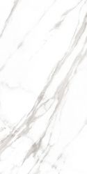 Marble Royal White 120x60