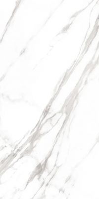 Marble Royal White 120x60
