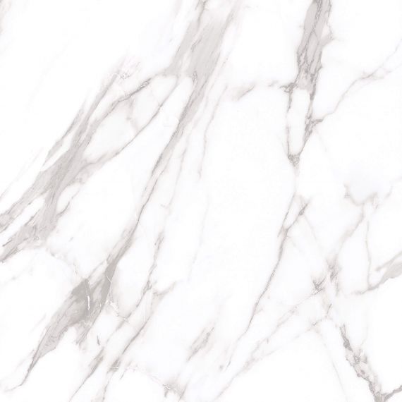 Marble Royal White 60x60