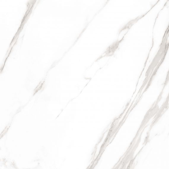 Marble Royal White Sugar 60x60