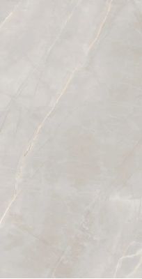 Marble Royalish Grey 120x60