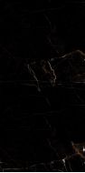 Marble Tropic Black 120x60