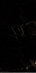 Marble Tropic Black 120x60