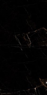 Marble Tropic Black 120x60