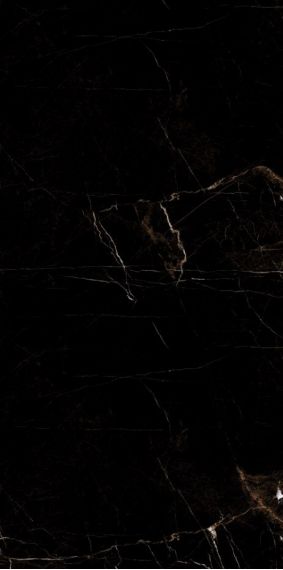 Marble Tropic Black 120x60
