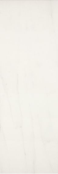 Marbleline Calacatta MLAP 22*66.2