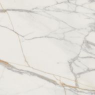 Marmo d Oro POL 119.8x119.8