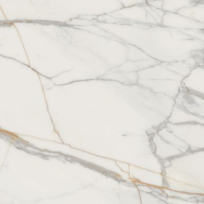 Marmo d Oro POL 119.8x119.8