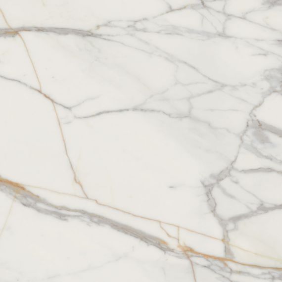 Marmo d Oro POL 119.8x119.8