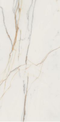 Marmo d Oro POL 119.8x59.8