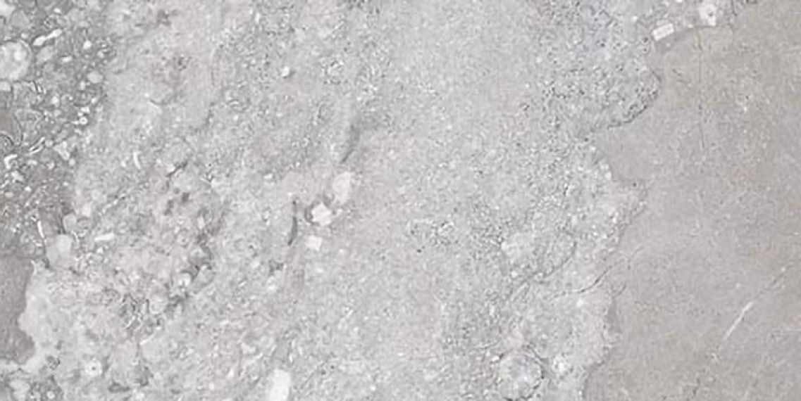Marmoker Breccia Carsica Lucido 60x120