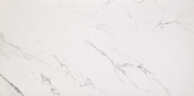 Marmoker Lucido STATUARIO GRIGIO 258Х118
