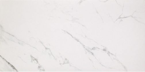 Marmoker Lucido STATUARIO GRIGIO 258Х118