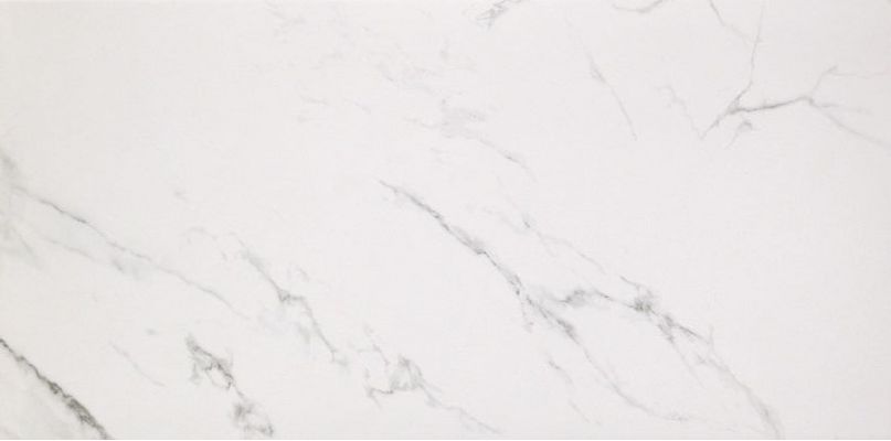 Marmoker Lucido STATUARIO GRIGIO 258Х118
