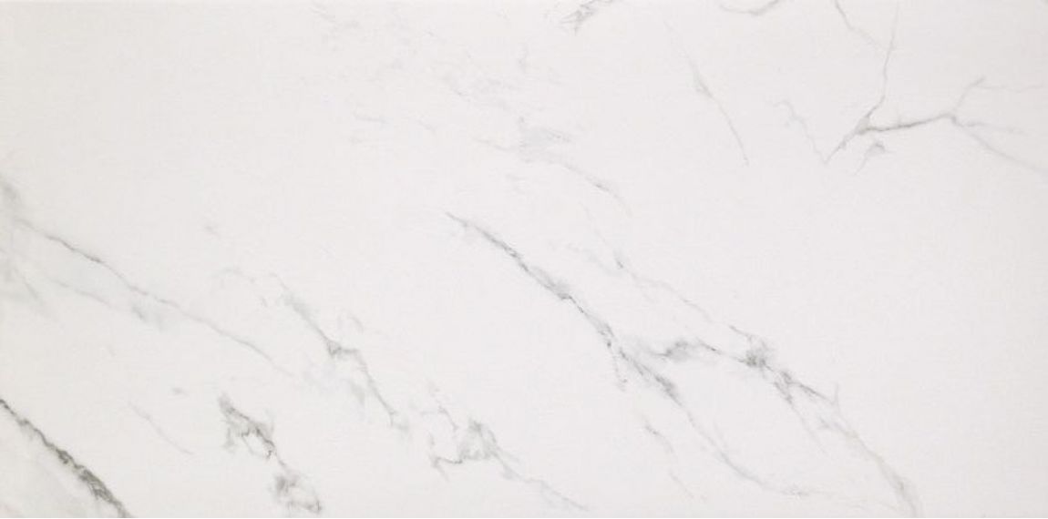 Marmoker Lucido STATUARIO GRIGIO 258Х118