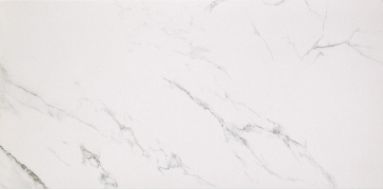 Marmoker Lucido STATUARIO GRIGIO 59Х118