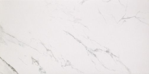 Marmoker Lucido STATUARIO GRIGIO 59Х118