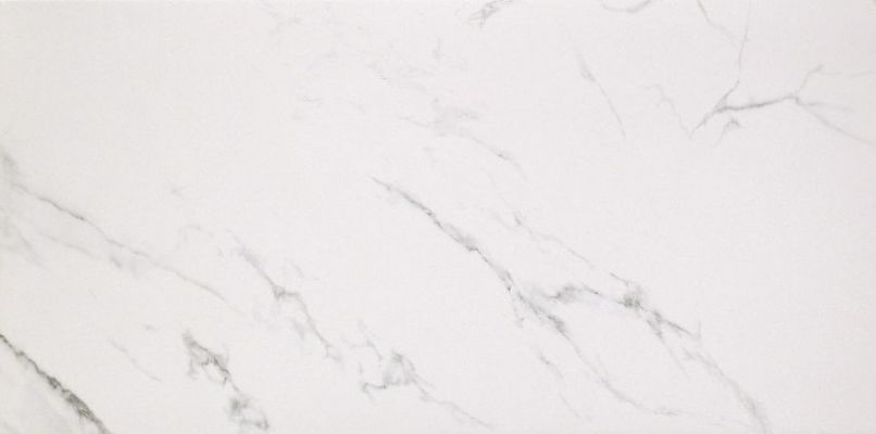 Marmoker Lucido STATUARIO GRIGIO 59Х118