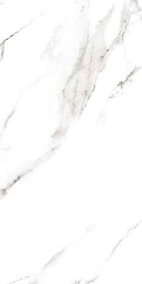 Marmoker Statuario Grigio Lucido 6.5mm 60x120