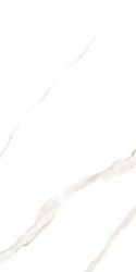 Marmoker Statuario Oro Honed 60x120
