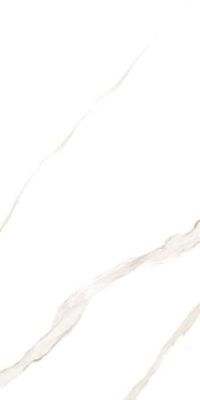 Marmoker Statuario Oro Honed 60x120