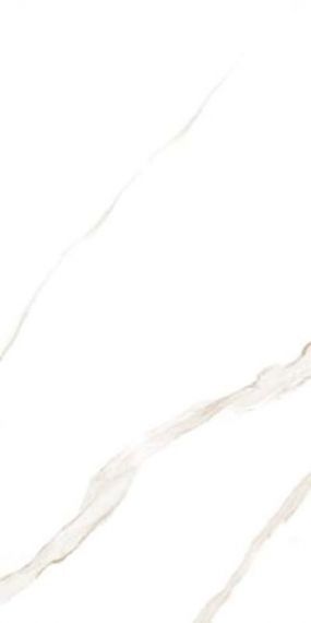 Marmoker Statuario Oro Honed 60x120
