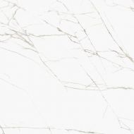 Marmoker Titan White Honed 59x59
